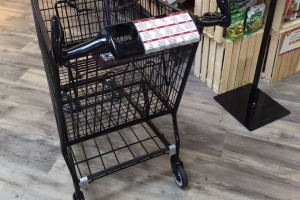 Rental Shopping Carts