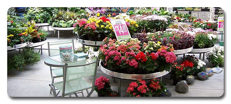 floral-displays-05