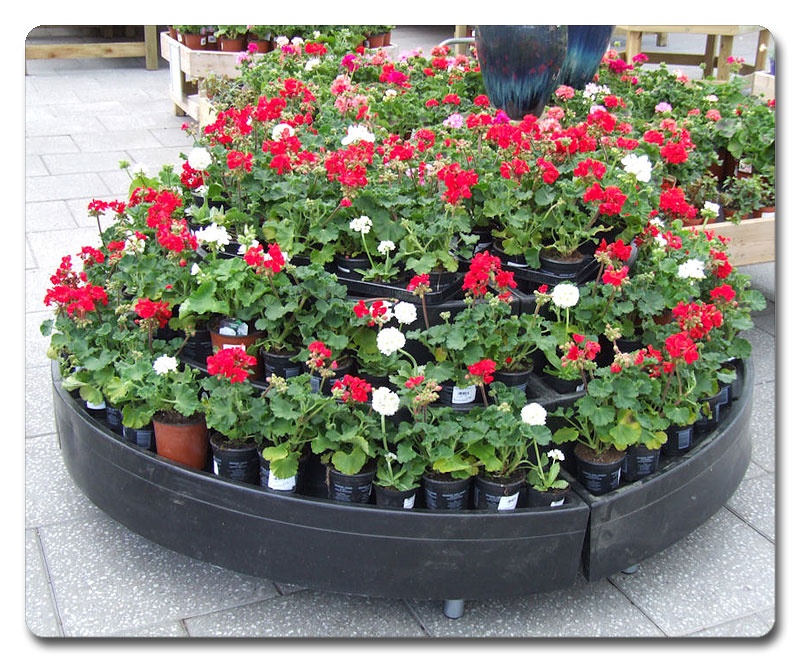 floral-displays-08