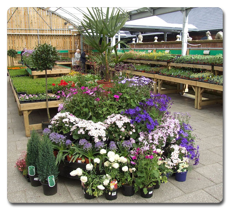 floral-displays-11