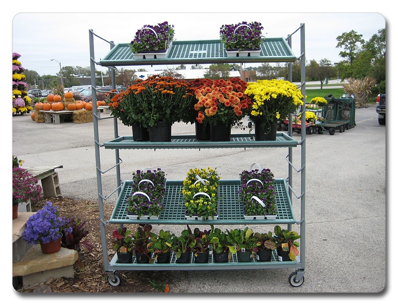 floral-displays-13