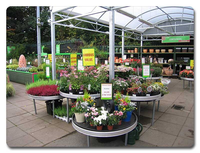 floral-ireland-02