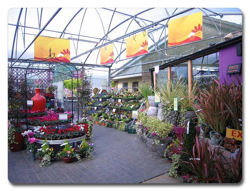floral-ireland-03