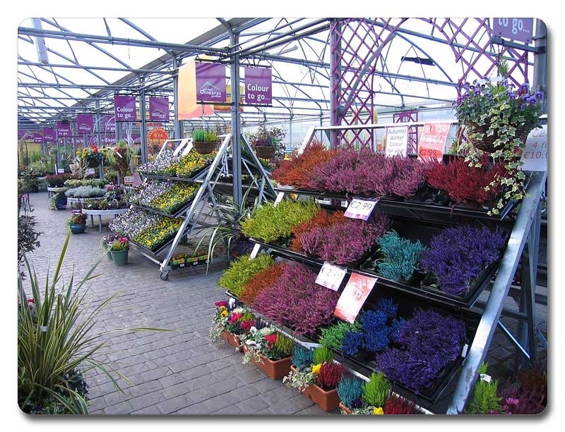 floral-ireland-04