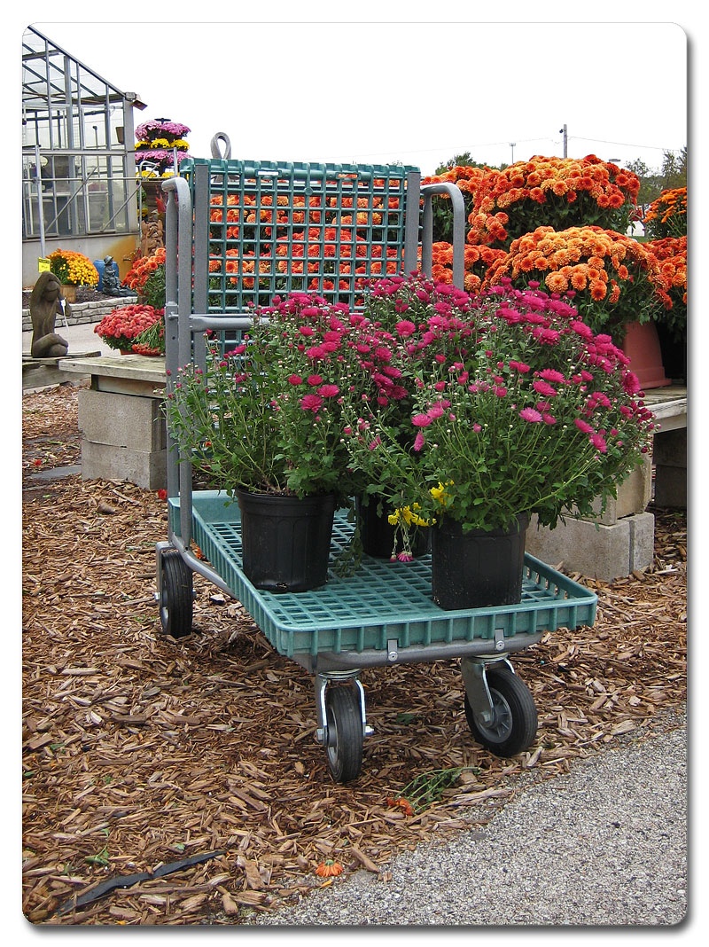 garden-center-carts-07